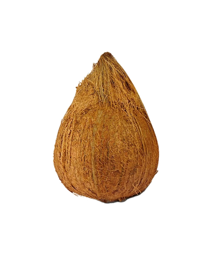 Brown Coconut