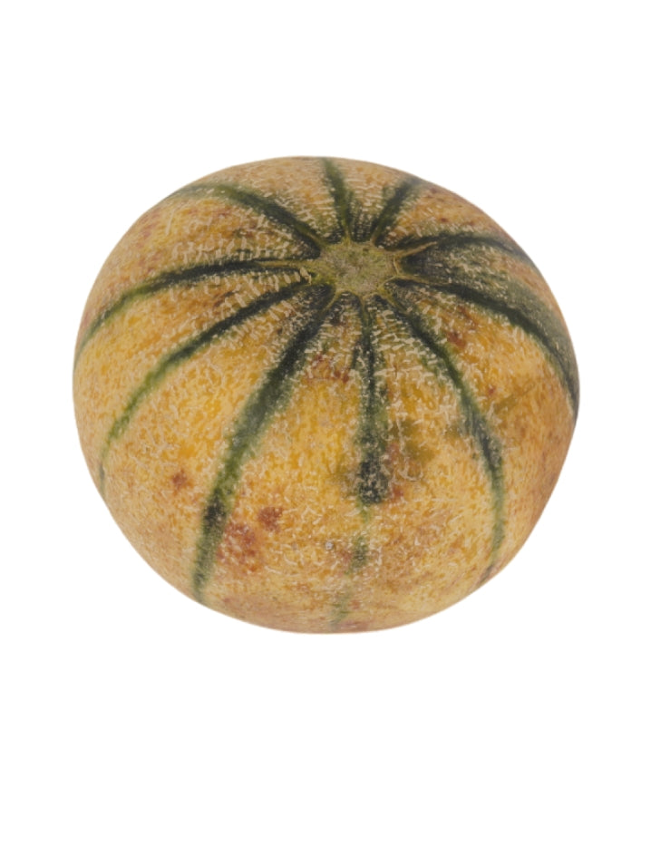Madhu Muskmelon (Kharabooja)