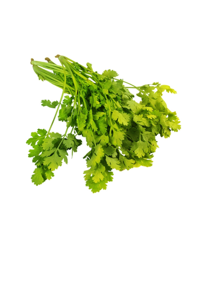 Coriander Bunch (Dhaniya Patta)